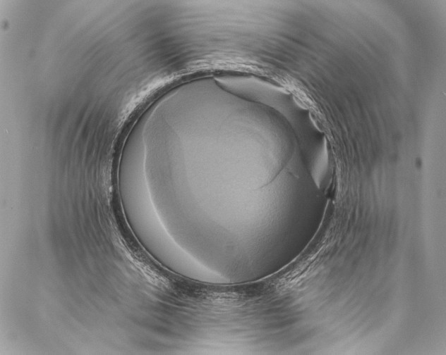 X0000086940438200705071422