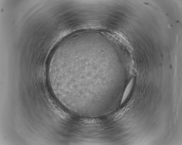 X0000086940439200705071422