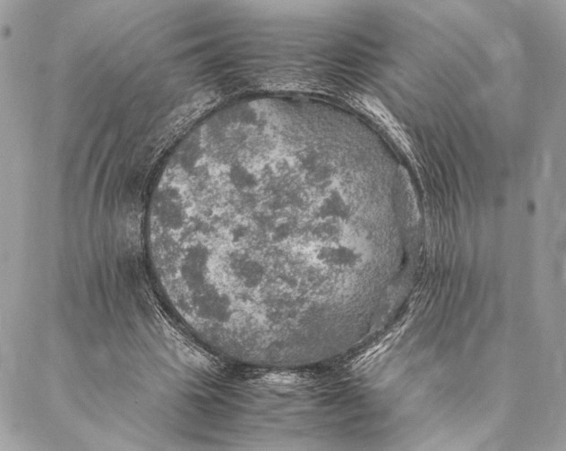 X0000086940441200705071422