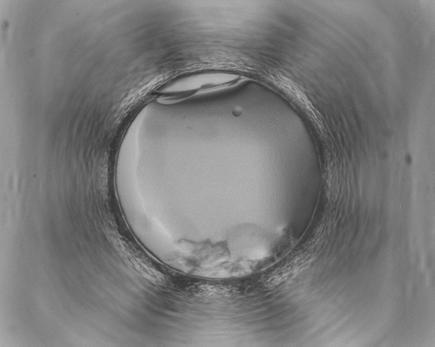 X0000086940442200705071422