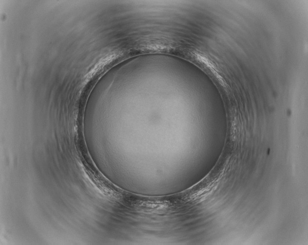 X0000086940443200705071422