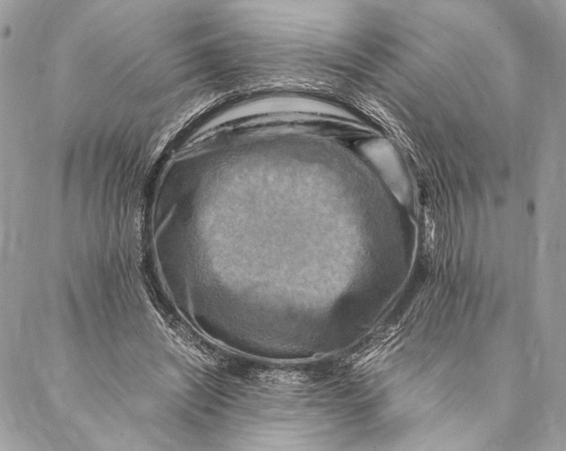 X0000086940444200705071422