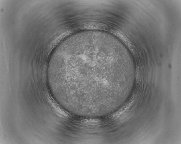 X0000086940445200705071422