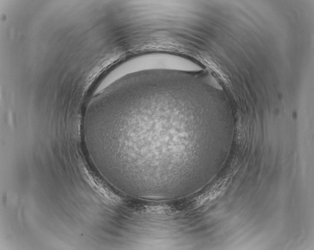 X0000086940446200705071422