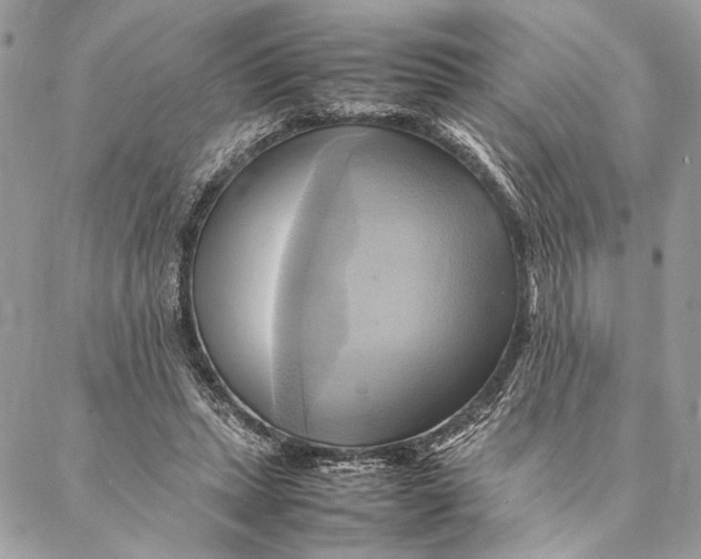 X0000086940447200705071422