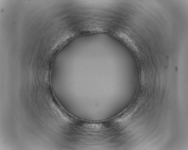 X0000086940449200705071422