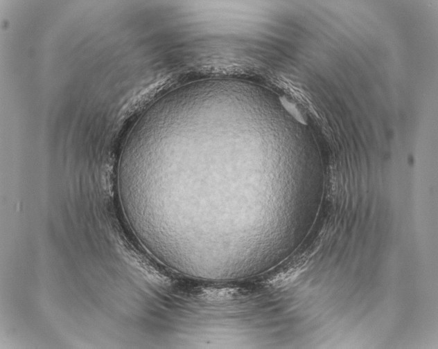 X0000086940450200705071422