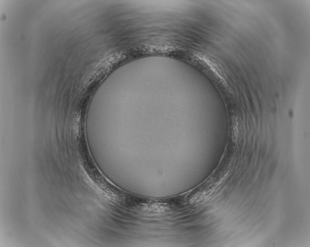 X0000086940451200705071422