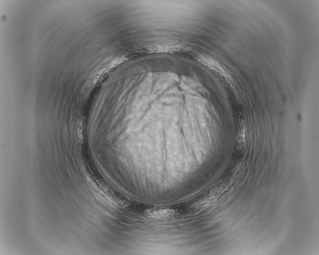 X0000086940452200705071422