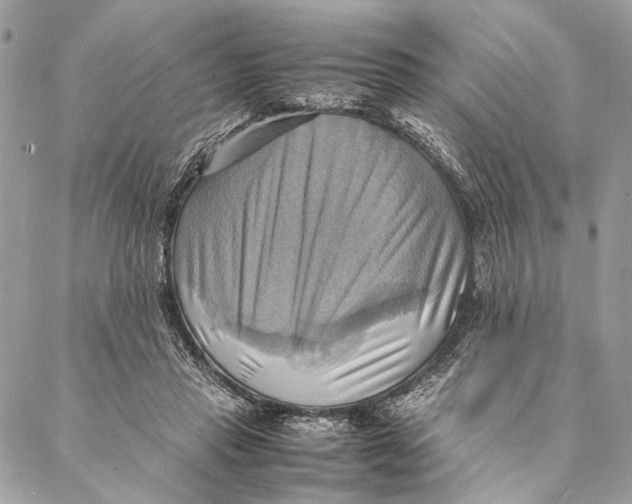 X0000086940453200705071422