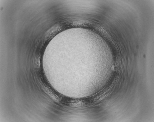 X0000086940454200705071422