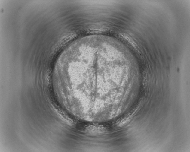 X0000086940455200705071422