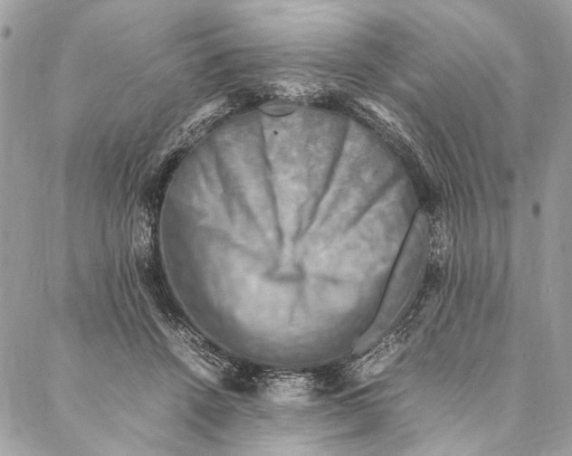 X0000086940456200705071422