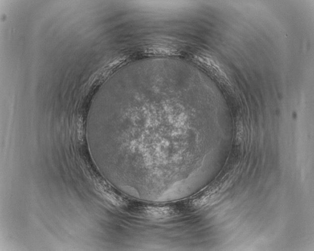 X0000086940457200705071422