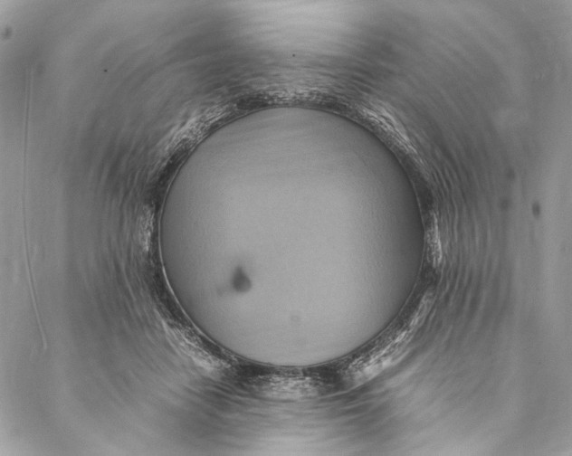 X0000086940458200705071422