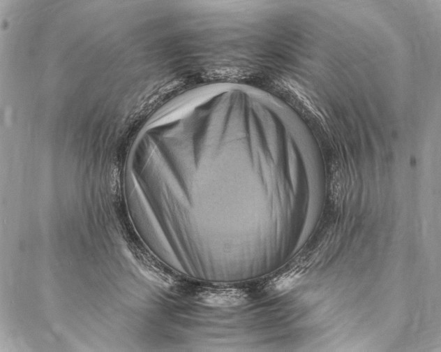 X0000086940459200705071422