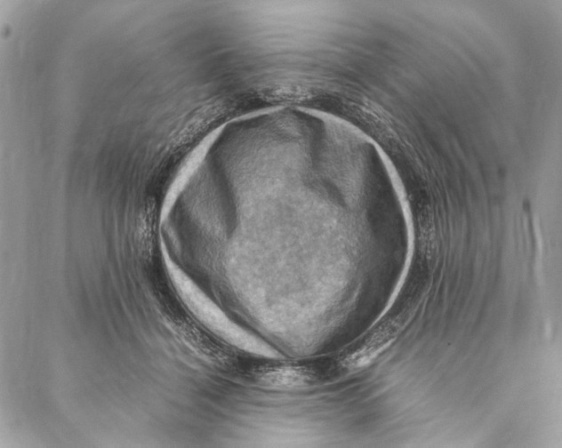 X0000086940460200705071422