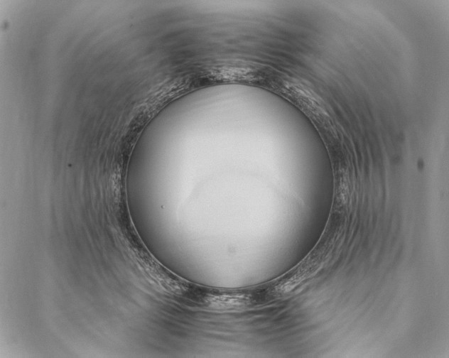 X0000086940461200705071422