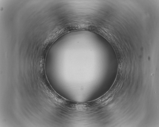 X0000086940462200705071422