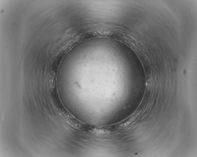 X0000086940464200705071422