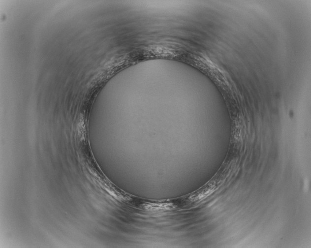 X0000086940465200705071422