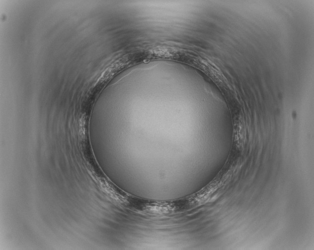 X0000086940466200705071422