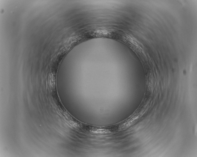 X0000086940467200705071422