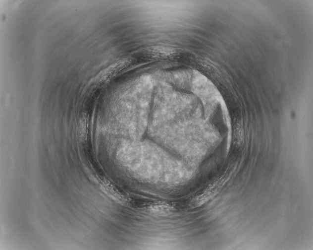 X0000086940468200705071422