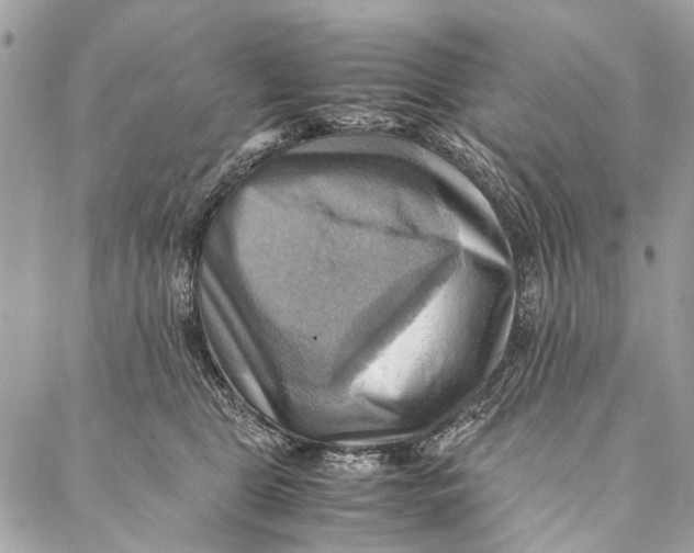 X0000086940469200705071422