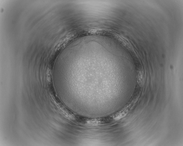 X0000086940470200705071422