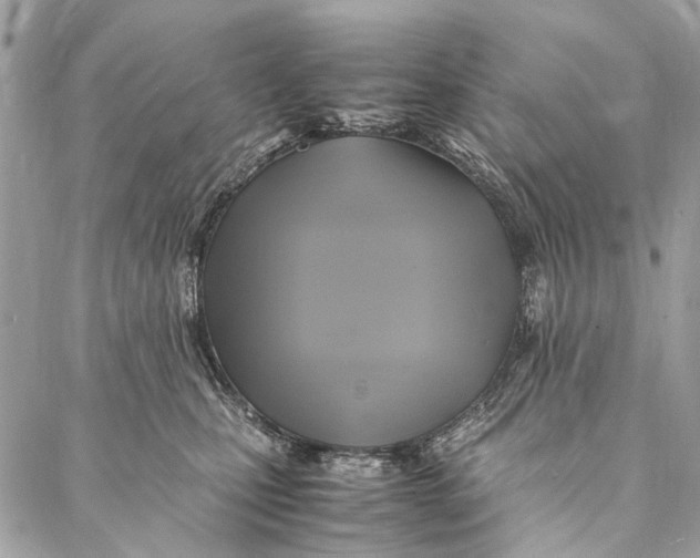 X0000086940471200705071422