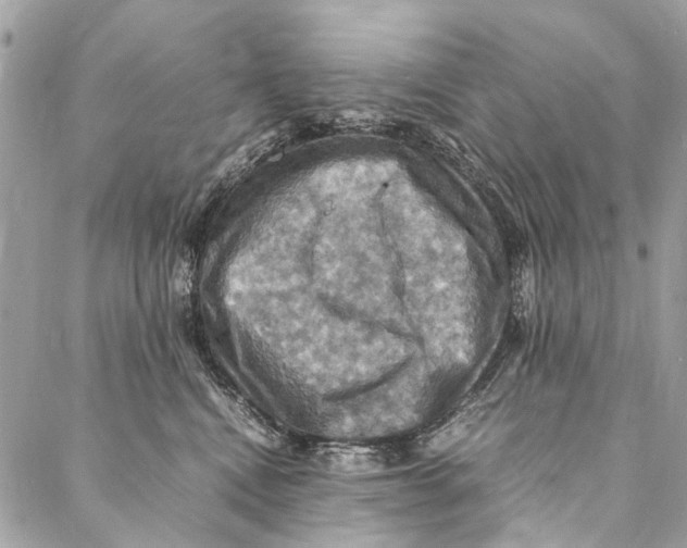 X0000086940472200705071422