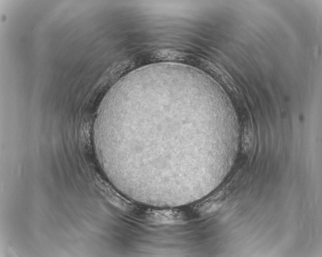 X0000086940473200705071422