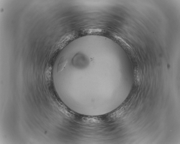 X0000086940475200705071422