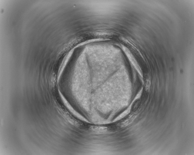 X0000086940476200705071423