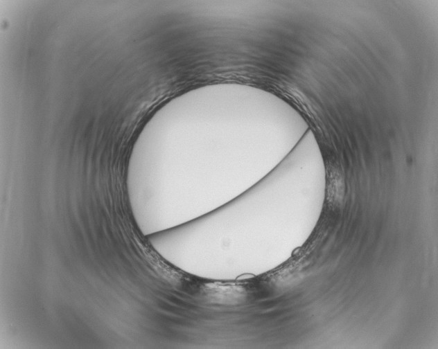 X0000086940477200705071423