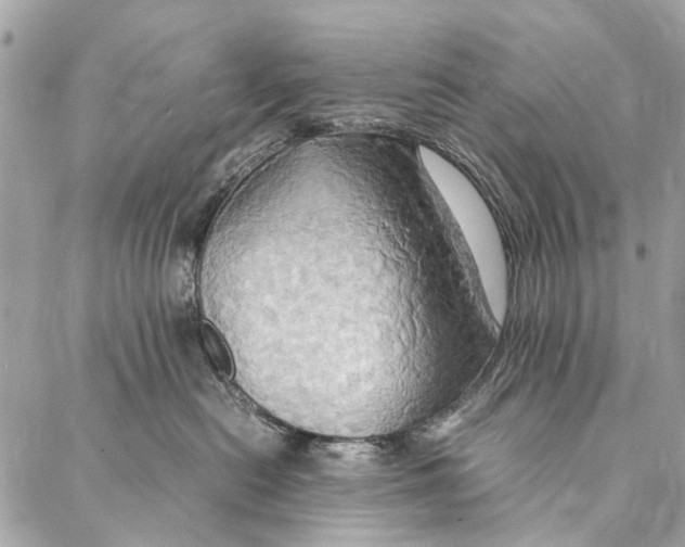 X0000086940478200705071423