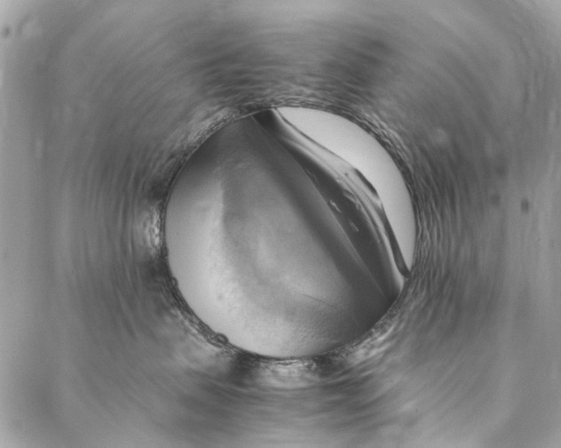 X0000086940479200705071423