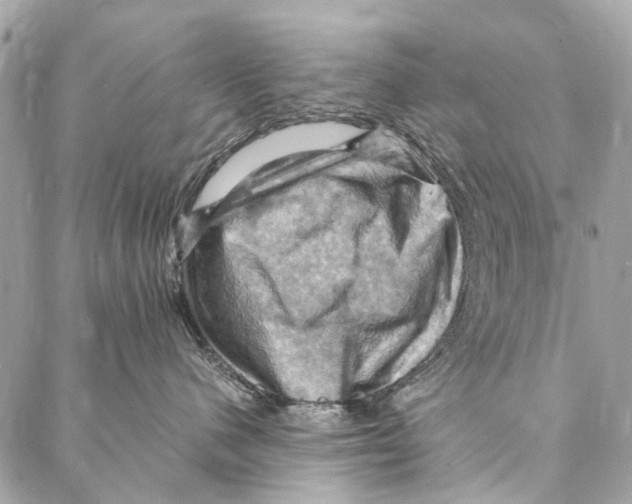 X0000086940480200705071423