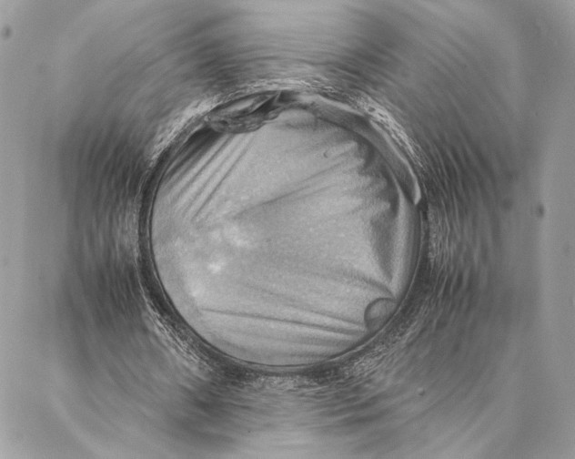 X0000086940482200705071422