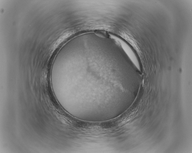 X0000086940483200705071422