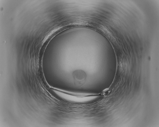 X0000086940484200705071422