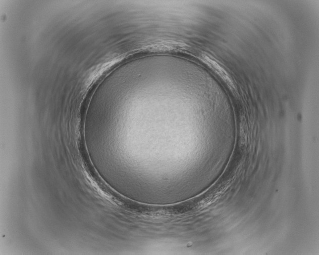 X0000086940485200705071422