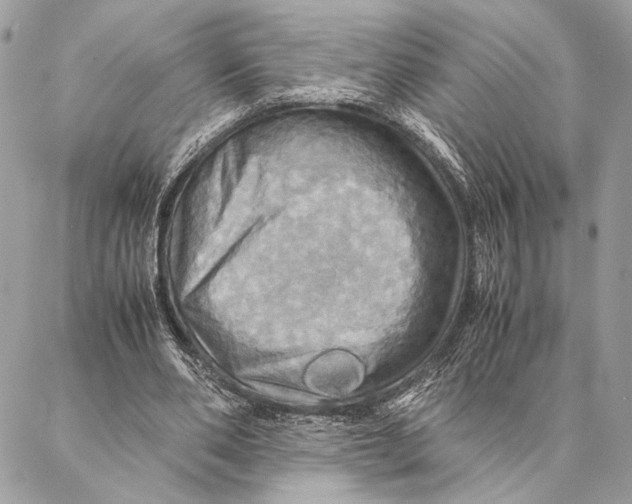 X0000086940486200705071422