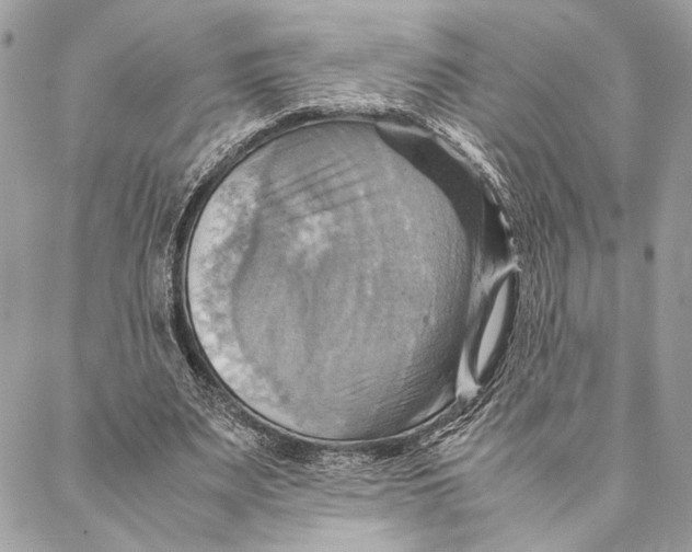 X0000086940487200705071422