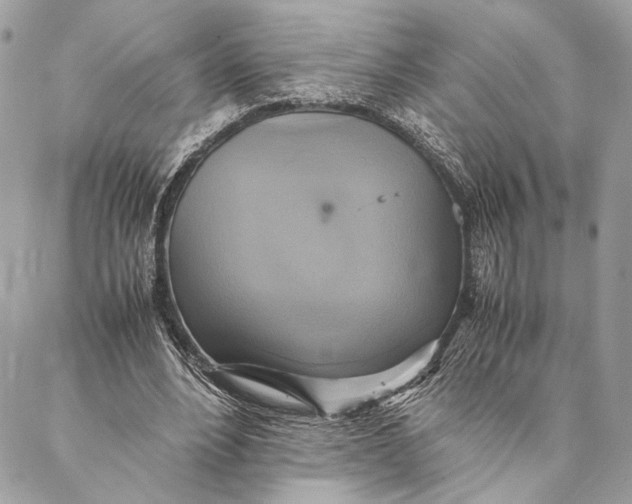 X0000086940488200705071422