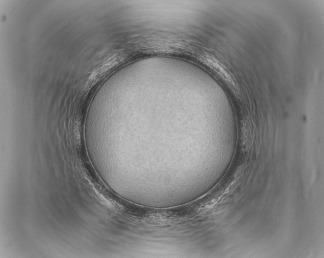 X0000086940489200705071422