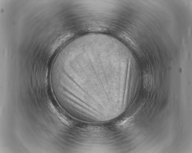 X0000086940490200705071422