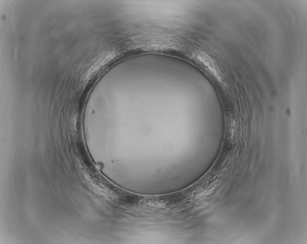 X0000086940491200705071422