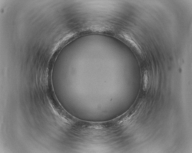 X0000086940492200705071422